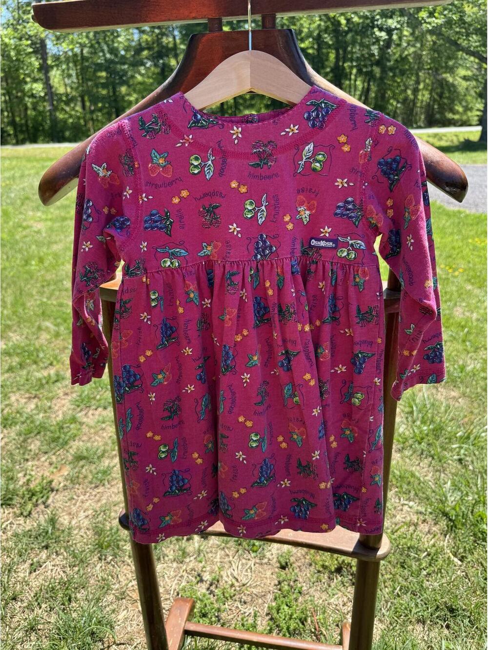 Vintage OshKosh B'gosh Toddler Girls 3T Long Sleeve Fruit Cotton Dress
